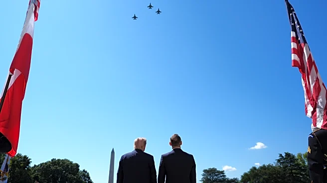 For Poland's president, a hearty Trump slap on the shoulder and gazing at a White House flyover