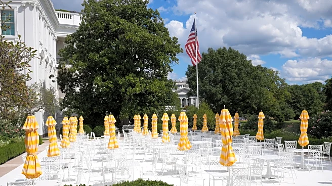 Trump to host top tech CEOs — except Musk — at White House dinner Thursday