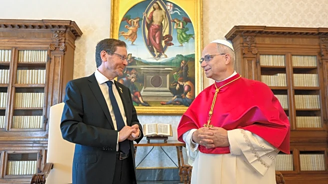 Pope Leo and Vatican insist on 2-state solution to end Gaza war during meeting with Israel president