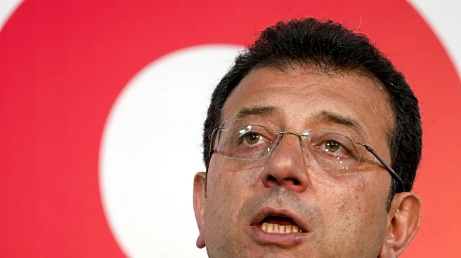 European human rights body denounces arrest of Turkish activist critical of Erdogan