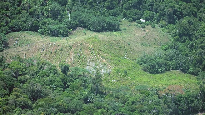Peru rejects creation of Amazon reserve to protect uncontacted tribes, drawing Indigenous outcry