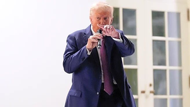 'Never seen anything like it' — what Trump's favorite phrase says about his presidency