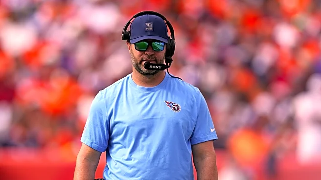 Titans coach Brian Callahan didn't challenge call on a catch and his explanation doesn't help