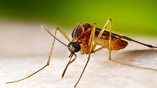 West Nile virus cases running higher than normal, prompting health warnings