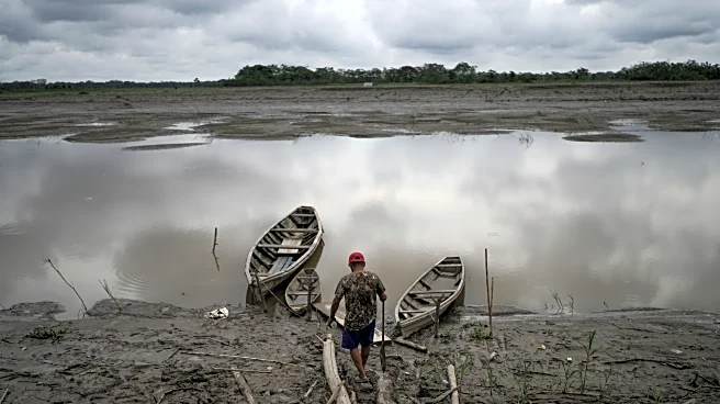 Well-preserved Amazon rainforest on Indigenous lands can protect people from diseases, study finds