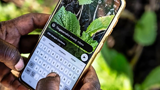 How Malawi is taking AI technology to small-scale farmers who don't have smartphones