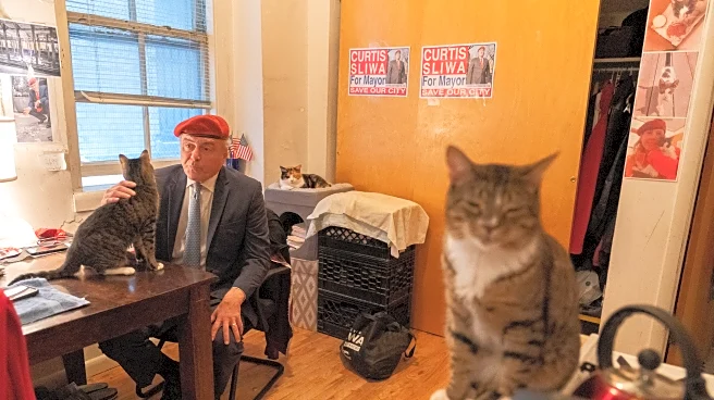 Trump dismisses cat-loving NYC Republican candidate for mayor as 'not exactly prime time'