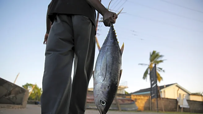 Long-wrought WTO global agreement aimed at reducing overfishing takes effect