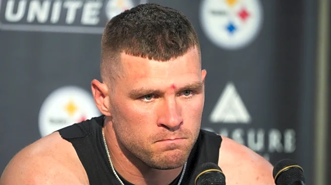 The Pittsburgh Steelers' defense wants to smash the run. It's getting smashed instead
