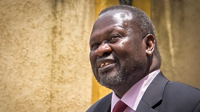 South Sudan opposition calls on citizens to defend their country after leader indicted