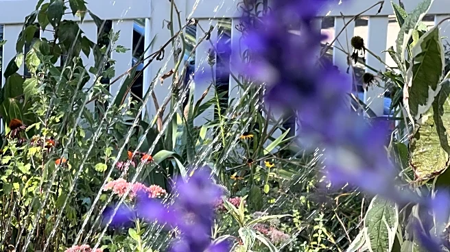A look at the best times of day for watering, planting, pruning and other garden tasks