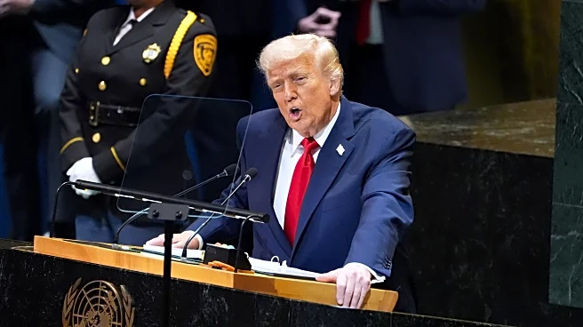 Trump in speech to UN says world body 'not even coming close to living up' to its potential