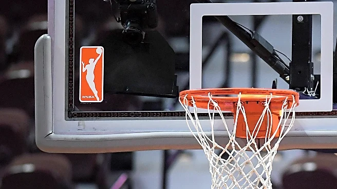 With WNBA officiating under scrutiny, what does it take to become a referee in the league?