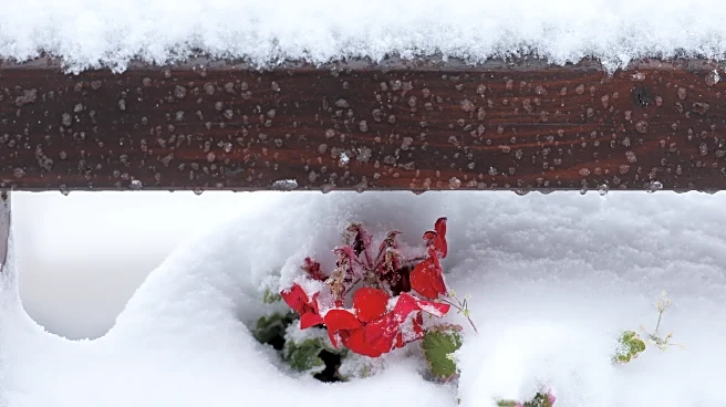 Early snowfall damages power lines and snarls traffic in Bosnia and Serbia