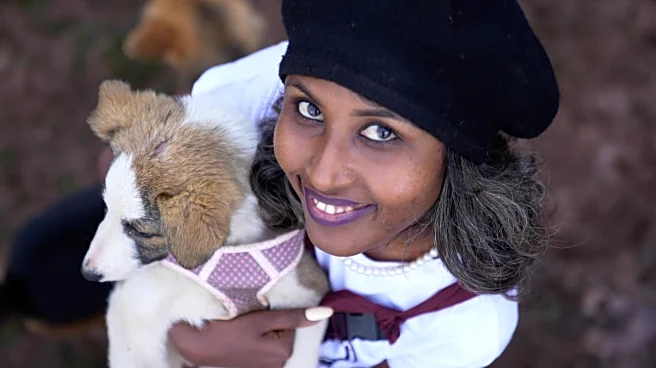Abandoned dogs in Ethiopia's capital get little care. A woman wants to change that