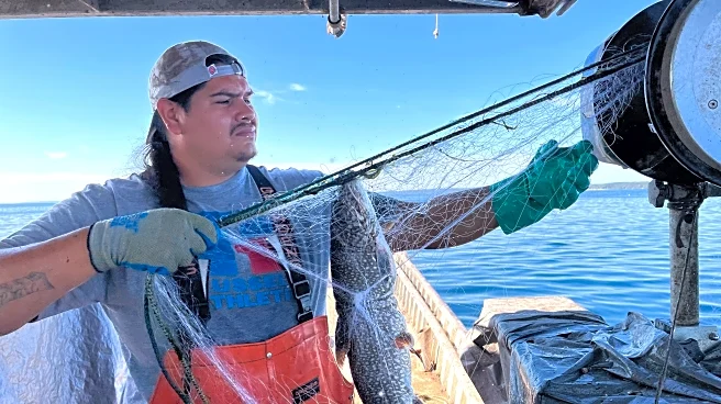 Whitefish crash has Michigan fishers on the brink: ‘It makes you want to cry’