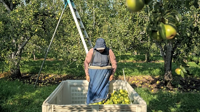 Takeaways from AP's report on the growing dangers of heat on pregnant agriculture workers