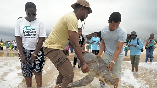 Conservation group rescues sea turtles caught in nets at Nigerian coastal city and rewards fishermen