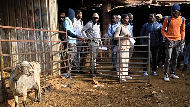 A neglected and ancient trade in Spain gets a boost from African migrants