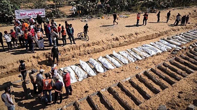 Israel's top diplomat says Turkish troops will have no role in Gaza force