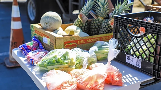 AP Decision Notes: What to expect in Colorado for the Nov. 4 election