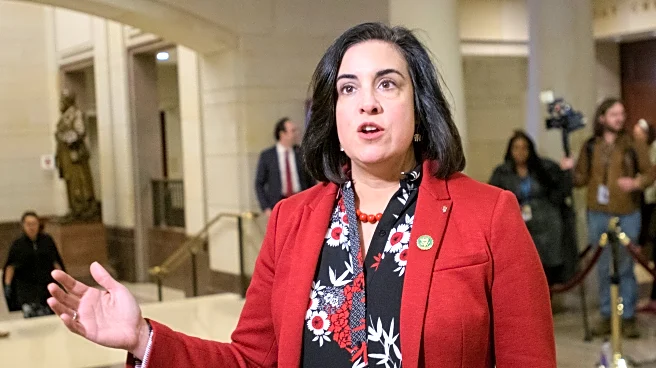 Lawsuit challenges the boundaries of the only GOP-held congressional district in New York City