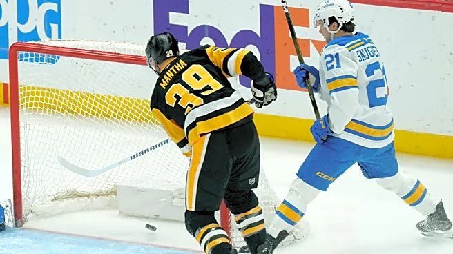 Fan at Penguins game hospitalized after falling from upper concourse