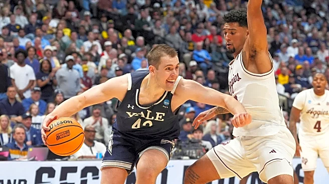 Yale's Nick Townsend is one of several players from traditional one-bid leagues who bear watching