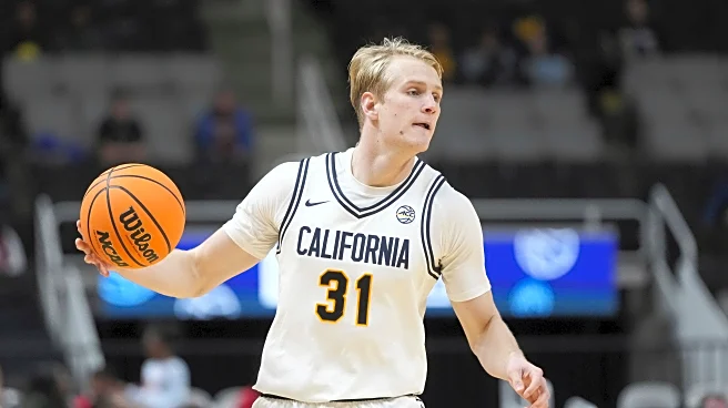 Cal will count on leadership of senior forward Rytis Petraitis after transfers of top players