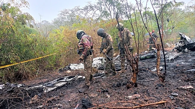 Plane crashes in Kenya while flying to Maasai Mara National Reserve, killing 11 people