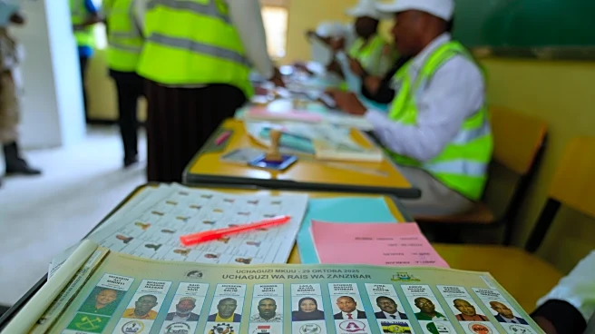 Tanzanians head to polls amid human rights concerns and weakened opposition