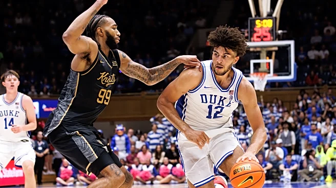 Duke's Cameron Boozer headlines a slate of talented freshmen to watch this season