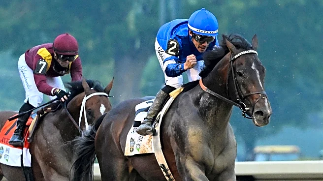Kentucky Derby winner Sovereignty scratched from the Breeders' Cup Classic because of a fever