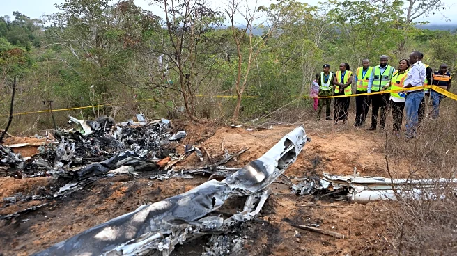 Budapest boxing club says board member, family among 11 killed in Kenya plane crash