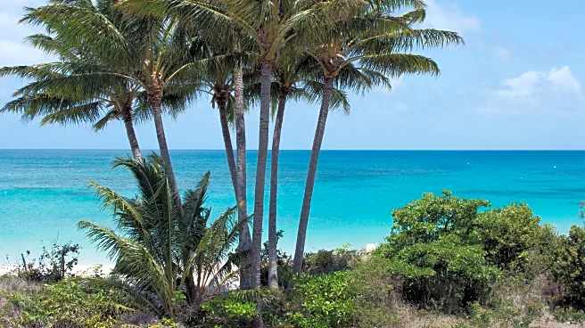 Cruise passenger, 80, found dead after being abandoned on Great Barrier Reef island
