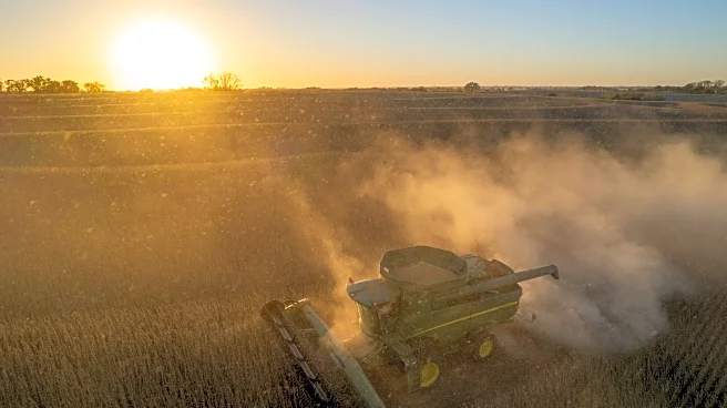 American farmers welcome China's promise to buy soybeans, but the deal doesn't solve everything