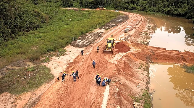 Brazil’s Amazon deforestation falls 11% even as fires surge to record levels