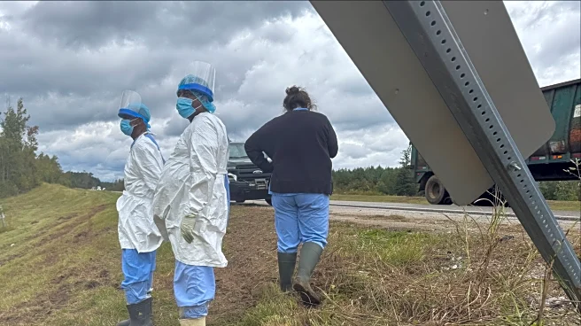 Monkey escape in Mississippi gives a glimpse into the secretive world of animal research