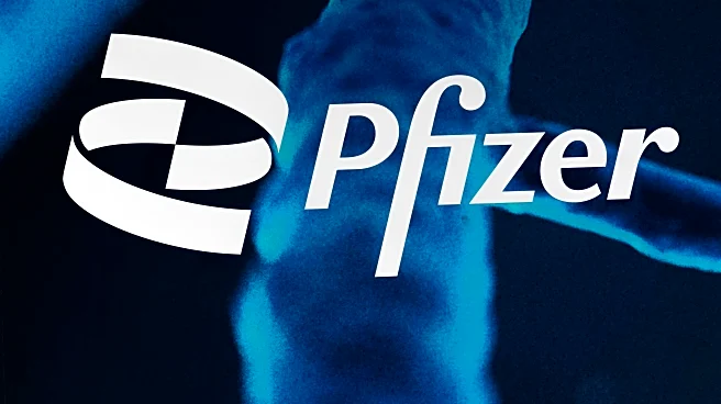 Pfizer sues to stop rival bid for drugmaker Metsera by Denmark's Novo Nordisk