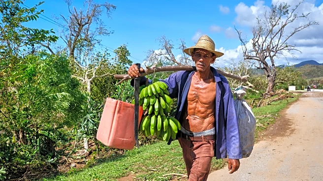 Hurricane Melissa deals another heavy blow to Jamaica's farmers and fishers