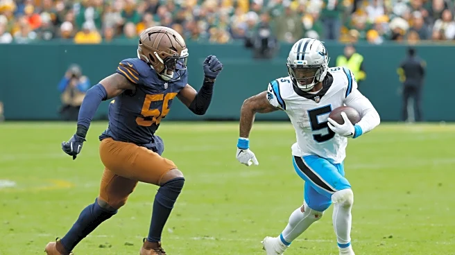 Rico Dowdle's big day and Ryan Fitzgerald's big kick give Panthers 16-13 win over Packers