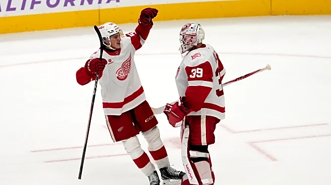 James van Riemsdyk's shootout goal lifts Red Wings over Sharks 3-2