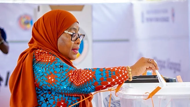 Tanzania's president blames foreigners for deadly protests after disputed election