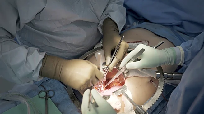 First clinical trial of pig kidney transplants gets underway