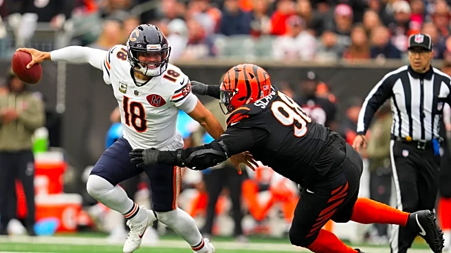 Bears see room to grow after already matching win total from last season
