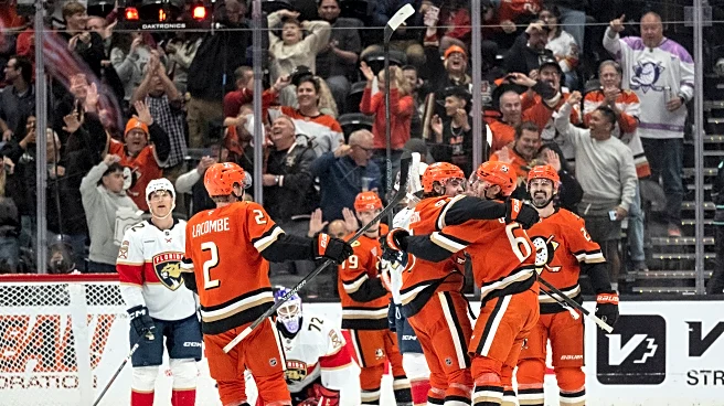 Cutter Gauthier has 1st hat trick in 4-point night to send surging Ducks past Panthers, 7-3