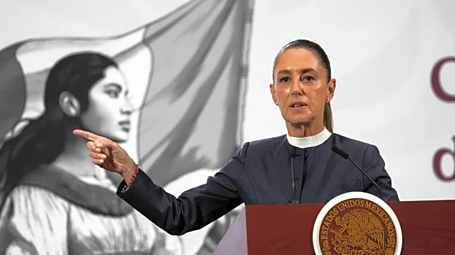 Mexico President Sheinbaum presses charges after street harassment