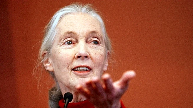 Noteworthy and influential people who've died this year