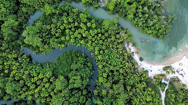 Brazil stumps up billions of dollars for its ambitious rainforest fund at UN climate summit