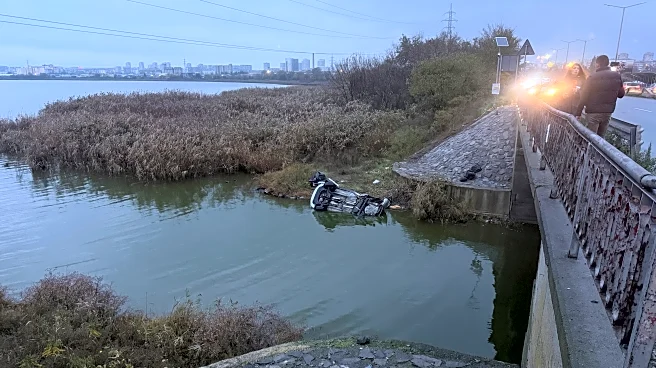 Van is chased by police in Bulgaria and crashes, killing six migrants